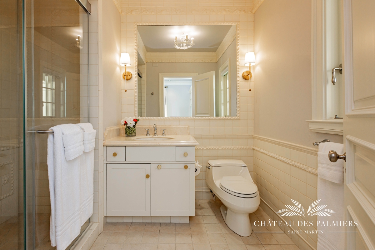 Villa Le Chateau des Palmiers